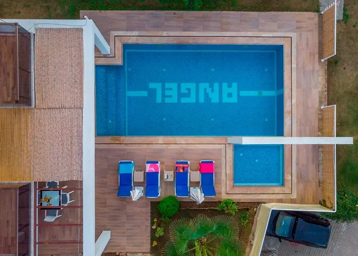 Celebrity G * 费特希耶